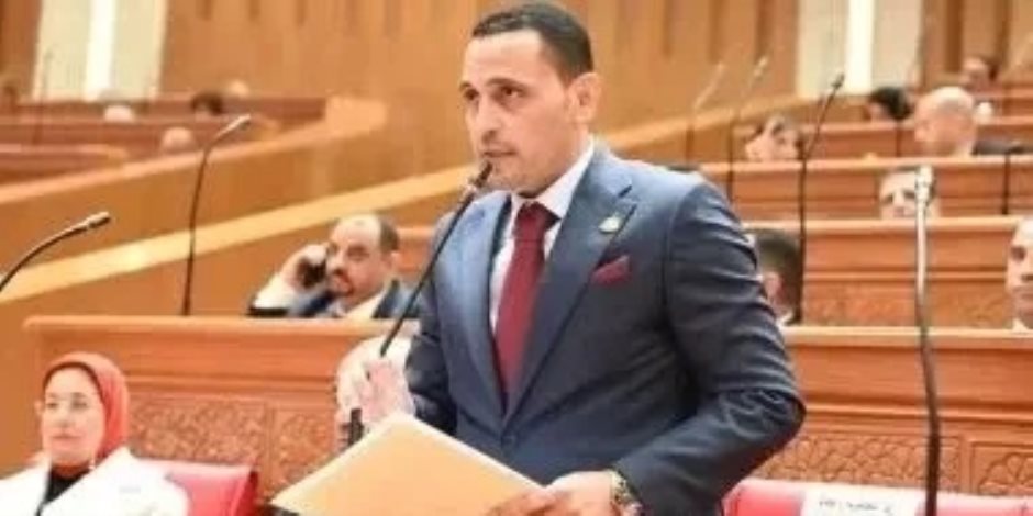 النائب إسلام التلوانى: زيارة الرئيس الصيني تفتح مرحلة جديدة من الاستثمارات
