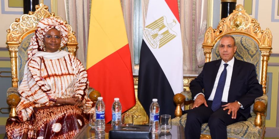 وزير الخارجية يلتقي وزيرة ريادة الأعمال والتوظيف والتدريب الفني بجمهورية مالي ويبحثان سبل تعزيز التعاون الثنائي
