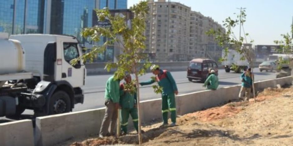 محافظ القاهرة: خطة علمية ومجتمعية لزيادة المسطحات الخضراء والحد من التلوث
