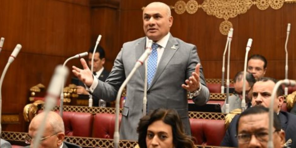 عضو بالشيوخ: القاهرة والرياض أمام مسؤولية مشتركة لتعزيز التعاون وحماية الاستقرار الإقليمي