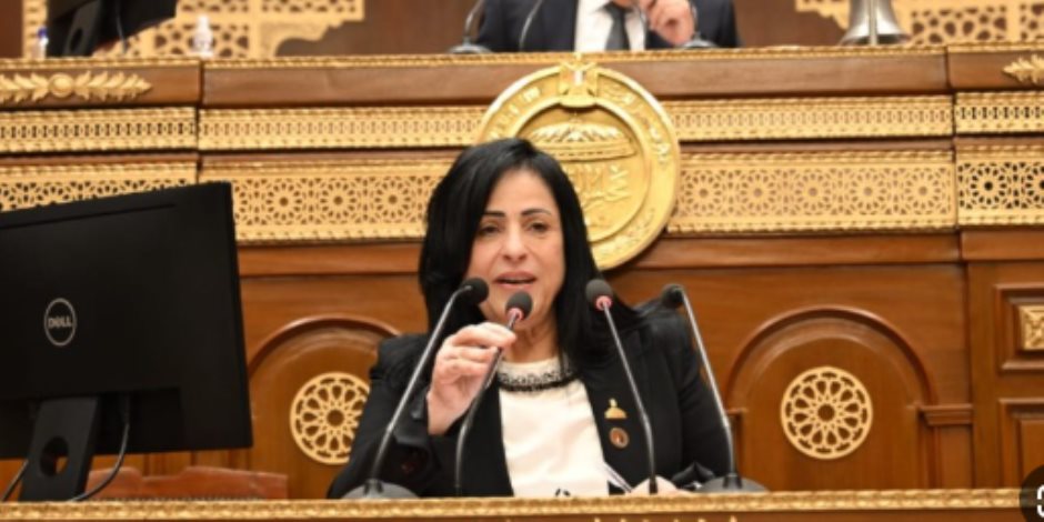 ميرال الهريدي: شراكة مصر والسعودية تفتح آفاقًا جديدة للتنمية ومواجهة تحديات المنطقة