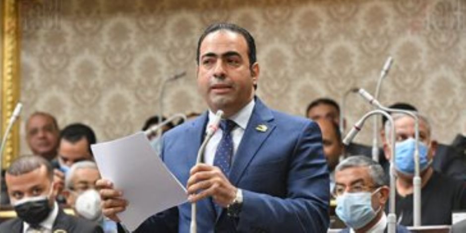 «شباب المصريين بالخارج»: التنسيق بين الرئيس السيسي وبن سلمان ضمانة تاريخية لحماية الأمن القومي العربي