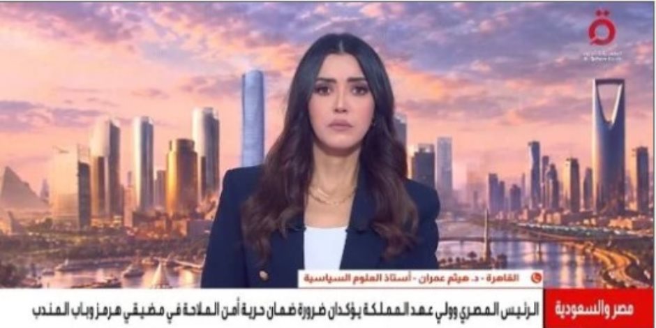 أستاذ علوم سياسية: التوافق المصرى السعودى يمثل صمام أمان لأمن المنطقة