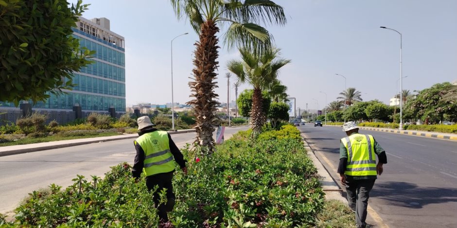 وزيرة الإسكان تتابع أعمال التطوير والتصدي للمخالفات بـ"الشيخ زايد وحدائق أكتوبر"