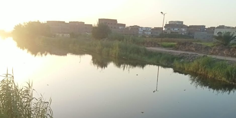 وزيرة التنمية المحلية والبيئة توجه بتكثيف التحركات الميدانية بمصرف الزوامل ببلبيس للتحقق من ظهور تمساح وتأمين المواطنين
