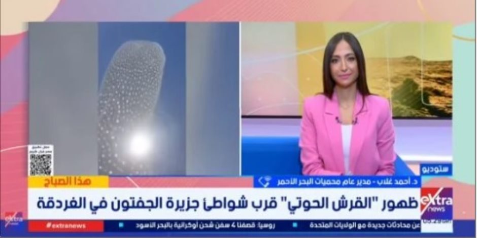 مدير محميات البحر الأحمر لإكسترا نيوز  .. القرش الحوتى مسالم ولا يمثل خطورة