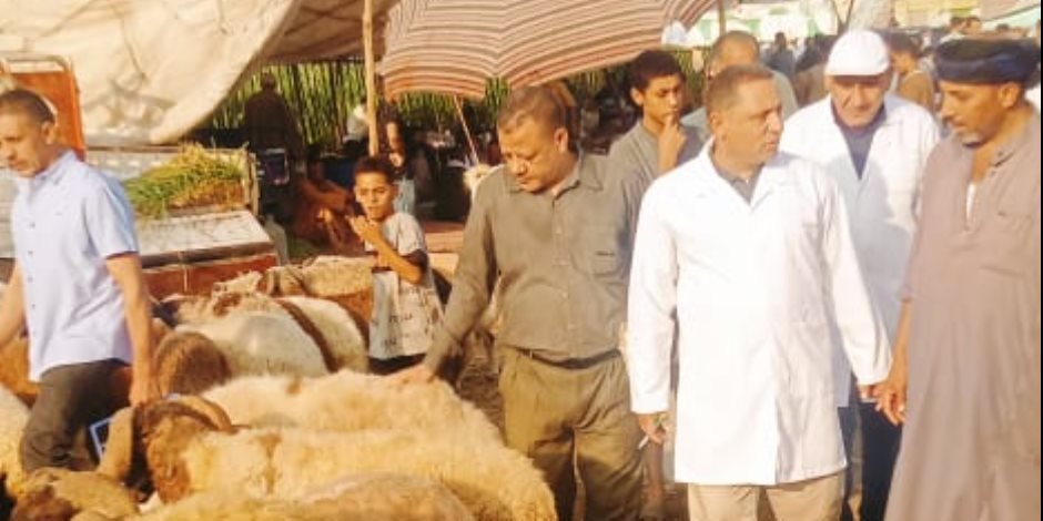 محافظ الجيزة يتابع نتائج الحملة القومية الثانية للتحصين ضد الحمى القلاعية وحمى الوادي المتصدع