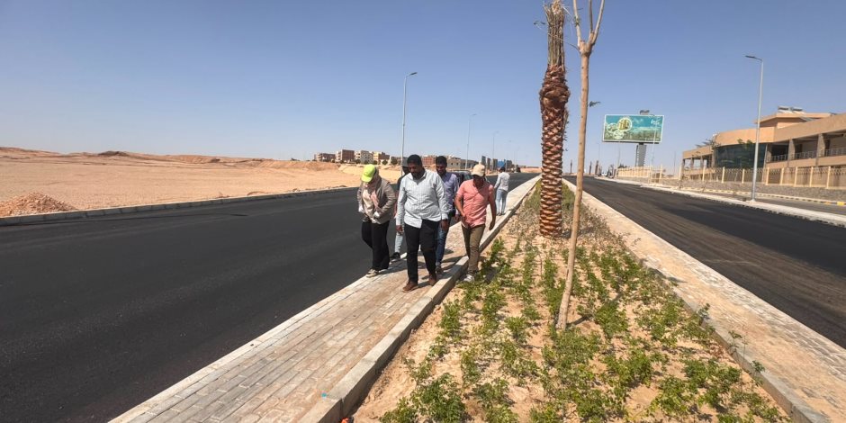 وزيرة الإسكان تتابع الموقف التنفيذي للمشروعات وملفات العمل بعدد من المدن الجديدة بالصعيد