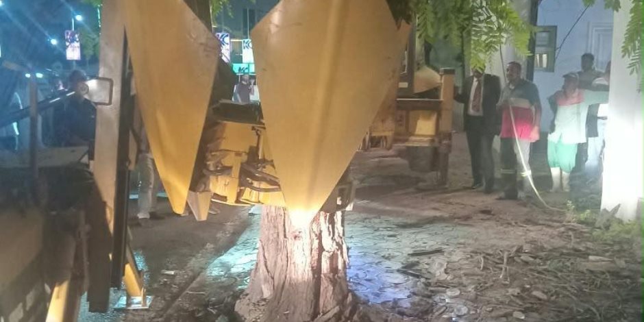 بعد سقوطها بشكل مفاجئ على عقار بمصر الجديدة.. وزيرة التنمية المحلية والبيئة تتابع مع محافظ القاهرة جهود نقل شجرة والاستعانة بأحدث الأجهزة والمعدات بالدولة ونقلها لمكان آخر