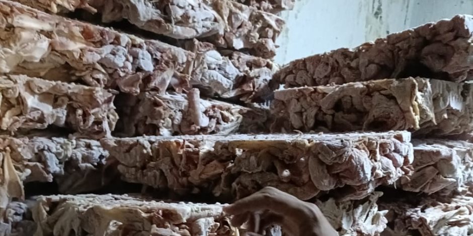 ضبط (70) طن من اللحوم والدواجن الفاسدة وغير الصالحة للاستهلاك الآدمي بالجيزة