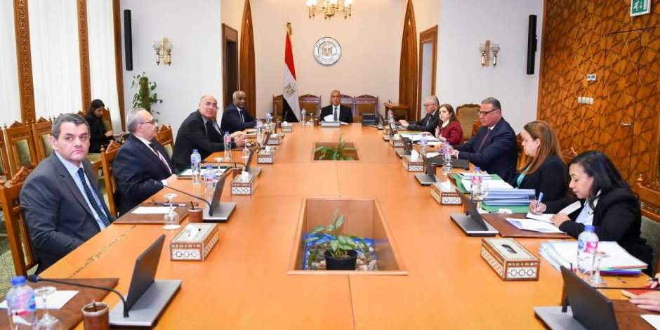 وزير الخارجية يجتمع مع مجلس إدارة الوكالة المصرية للشراكة لبحث تطوير برامجها وتعزيز دورها في أفريقيا