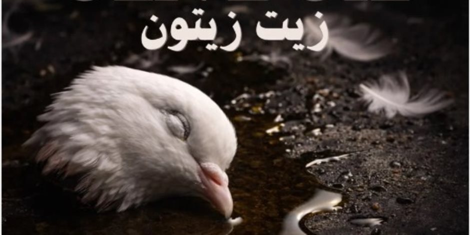 اليوم بمركز الهناجر للفنون .. القومى للسينما ينظم عرض 4 أفلام قصيرة بنادى السينما المستقلة 