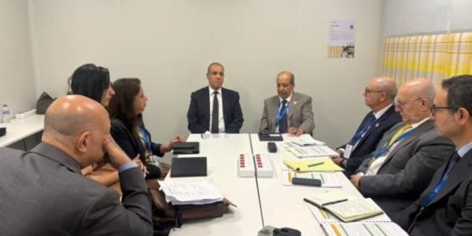وزير الخارجية يلتقى المدير العام ورئيس مجلس الصندوق العربى للإنماء الاقتصادى