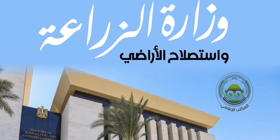 وزارة الزراعة" تعلن الانتهاء من حصاد 60% من محصول الأرز وتدوير 610 ألف طن قش لمواجهة "السحابة السوداء"