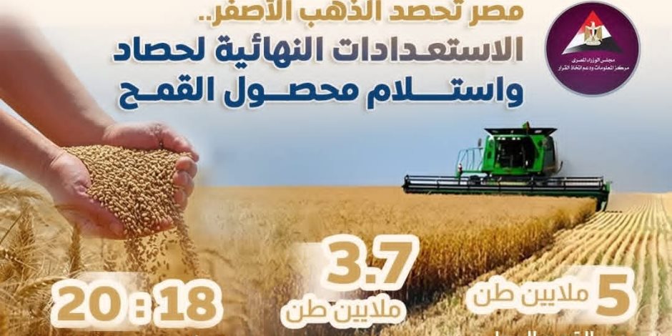 3.7 مليون منزرعة لموسم 2026 بزيادة 600 ألف فدان عن السابق.. «التعبئة والإحصاء»: إنتاج القمح في مصر يصل 10.0 مليون طن عام 2024-2025