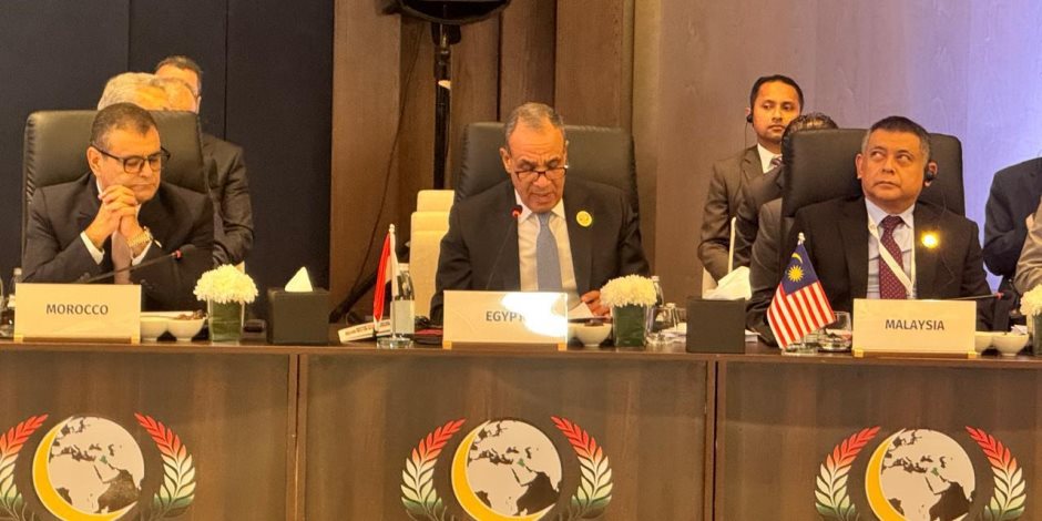وزير الخارجية يلقي كلمة مصر في اجتماعات الدورة الـ 52 لمجلس وزراء خارجية منظمة التعاون الإسلامي