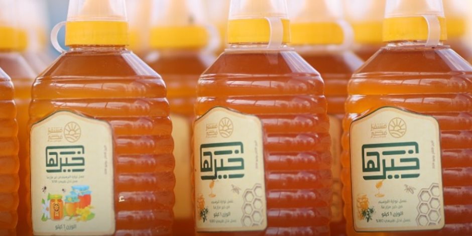 "مناحل مستقبل مصر".. رؤية متكاملة لتطوير إنتاج العسل وتعظيم الاستفادة من الموارد الزراعية