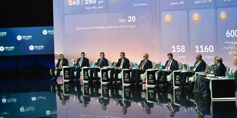 فخامة الرئيس السيسى: القطاع الخاص يمكنه شراء مساحات كبيرة من الأراضي المستصلحة