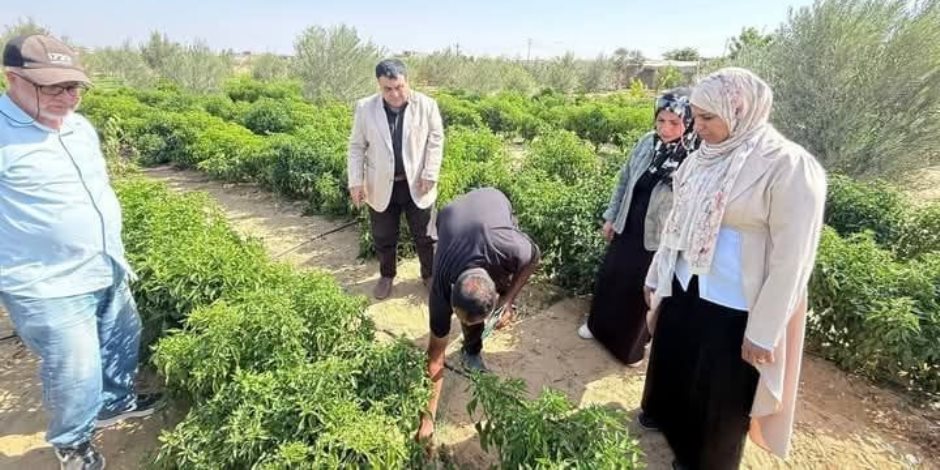 اختتام حملة مكافحة القوارض بزراعات قرية الوفاق جنوب رفح