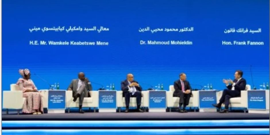 محيي الدين : يجب ربط الاستثمار بالمعادن الحيوية فى الدول النامية ببناء القدرات الإنتاجية