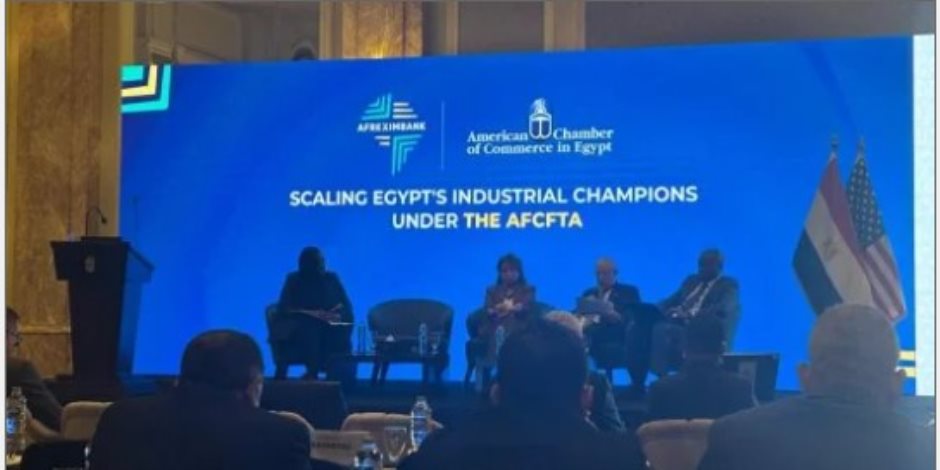 محمد قاسم: 7.6 مليار دولار صادرات مصر إلى إفريقيا خلال 2025