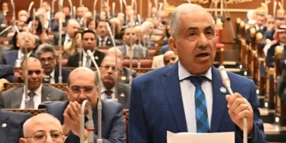 معركة تأمين غذاء المصريين.. "وكيل الشيوخ" : منظومة قوية لامتصاص الصدمات الخارجية وحماية الأسواق