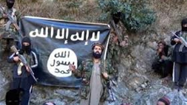 البنتاجون:تراجع عدد المقاتلين الجدد في تنظيم الدولة الإسلامية البنتاجون:تراجع عدد المقاتلين الجدد في تنظيم الدولة الإسلامية