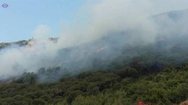 تجدد الحريق في بلدة جعيتا اللبنانية تجدد الحريق في بلدة جعيتا اللبنانية