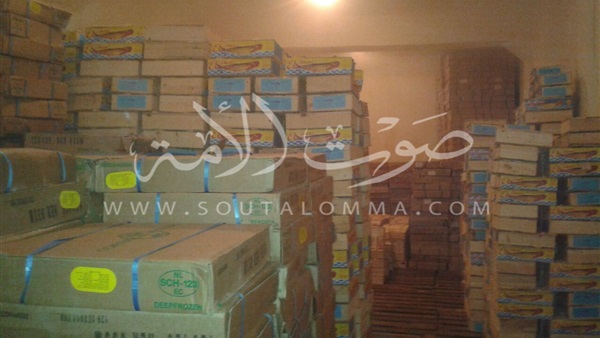 بالصور.. «التموين» تضبط 410 طن من أسماك الرنجة الفاسدة بالصور.. «التموين» تضبط 410 طن من أسماك الرنجة الفاسدة