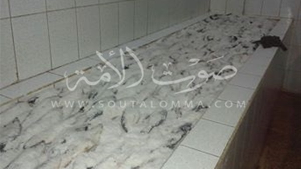 بالصور.. شرطة التموين تداهم مصانع بير السلم وتضبط ٤١٠ طن أسماك مملحة فاسدة بالصور.. شرطة التموين تداهم مصانع بير السلم وتضبط ٤١٠ طن أسماك مملحة فاسدة