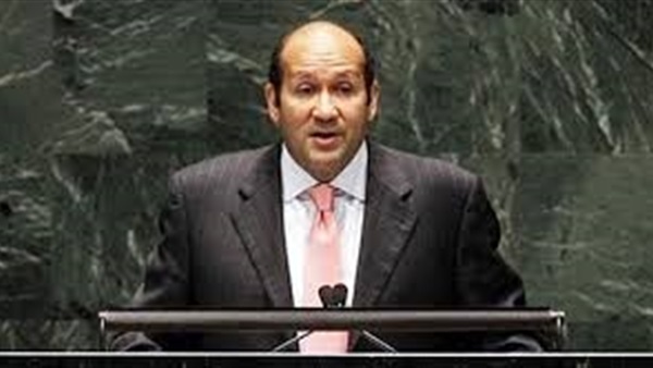 بدر: مصر طرحت رؤية متكاملة لعمليات  حفظ السلام بالمنطقة  
