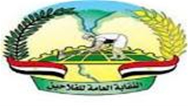 نقيب الفلاحين: الزراعة خلطت بذور القطن وتسببت فى قلة المحصول نقيب الفلاحين: الزراعة خلطت بذور القطن وتسببت فى قلة المحصول