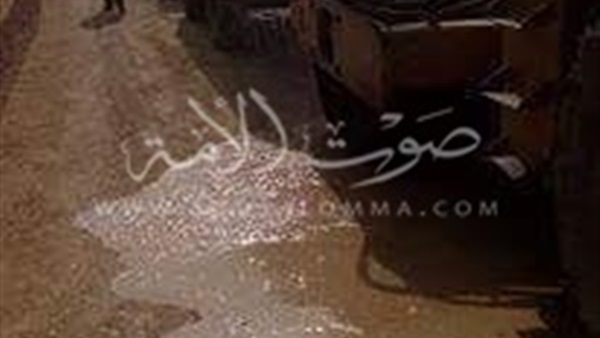 «الصناديلي»: إلغاء إجازات العاملين برئاسة الزقازيق 