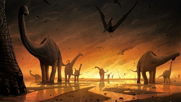 كيف نجت طيور عصر الديناصورات من الإنقراض؟