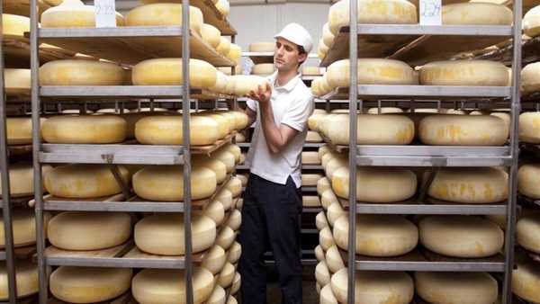 الولايات المتحدة تسجل أعلى مخزون من الجبن منذ 30 عاما