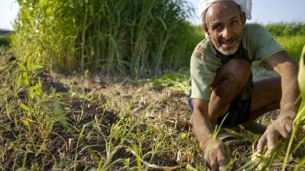 حصر مليون فلاح وإصدار 350 ألف اشتراك للمنتفعين بالتأمين الصحي حصر مليون فلاح وإصدار 350 ألف اشتراك للمنتفعين بالتأمين الصحي