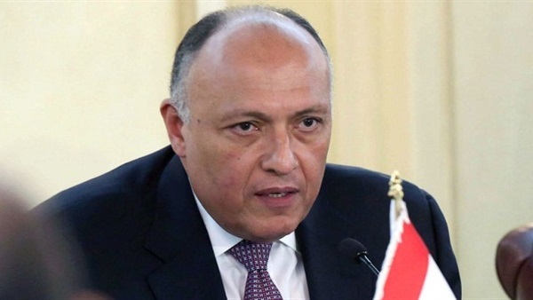 تفاصيل الاتصال الهاتفي بين سامح شكري وسيرجي لافروف تفاصيل الاتصال الهاتفي بين سامح شكري وسيرجي لافروف