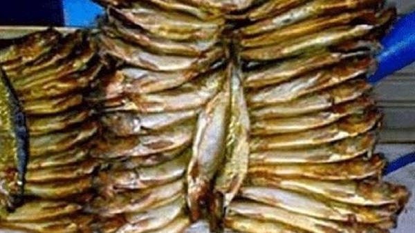 إعدام 28 طن أسماك مملحة في كفر الشيخ