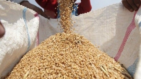 بالفيديو.. سكينة فؤاد تكشف سبب تجاهل السيسي لأزمة الصحفيين بالفيديو.. سكينة فؤاد تكشف سبب تجاهل السيسي لأزمة الصحفيين