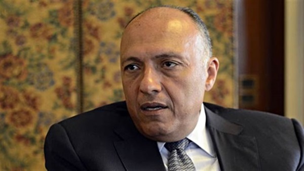الدول الأفريقية تدعم مصر  على المفعد الغير دائم بالأمم المتحدة  