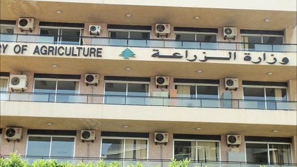 «الزراعة»: فتح باب تقنين الأراضي  حتى نهاية أكتوبر الجاري 