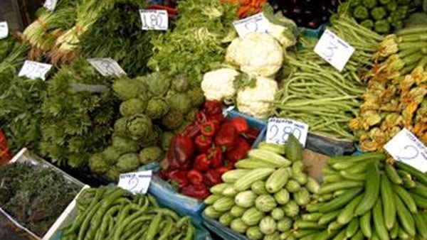 برنامج ارشادى للخضر والفاكهة فى المنوفية