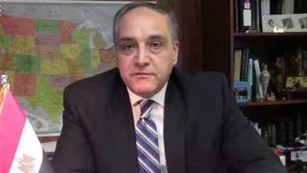 فاروق" خطاب الرئيس انعكس إيجابياً على نسبة التصويت للانتخابات البرلمانية 