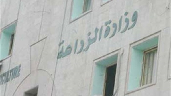 «زراعة سوهاج»: فتح شون ترابية جديدة لحل أزمة التكدس «زراعة سوهاج»: فتح شون ترابية جديدة لحل أزمة التكدس