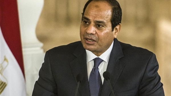 «السيسي»: مصر تواصل مساعيها من أجل إقامة الدولة الفلسطينية 