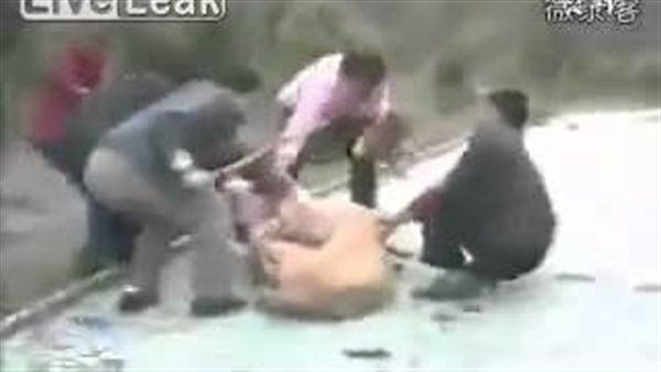 بالفيديو.. أشخاص يحاولون إنقاذ فتاة من أنياب الأسد بالفيديو.. أشخاص يحاولون إنقاذ فتاة من أنياب الأسد