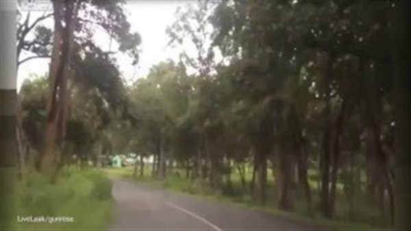 بالفيديو.. شبح يتجول بالقرب من الغابة