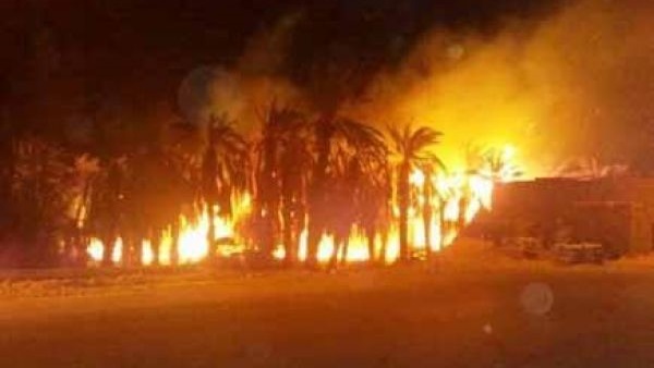 حريق هائل في مزرعة بالشرقية حريق هائل في مزرعة بالشرقية