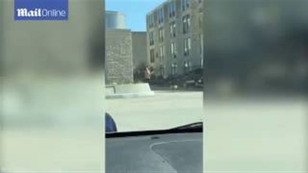 بالفيديو.. أوزة تطارد فتاة فى الشارع بشكل مزعج بالفيديو.. أوزة تطارد فتاة فى الشارع بشكل مزعج