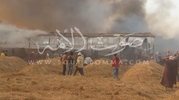 بالصور.. إندلاع حريق بشونة لتخزين البصل في الدقهلية بالصور.. إندلاع حريق بشونة لتخزين البصل في الدقهلية